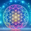 Medium Simay -
